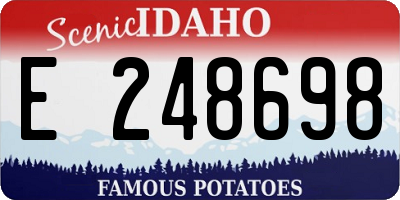ID license plate E248698