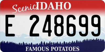 ID license plate E248699