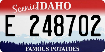 ID license plate E248702