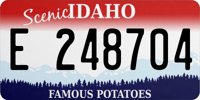 ID license plate E248704