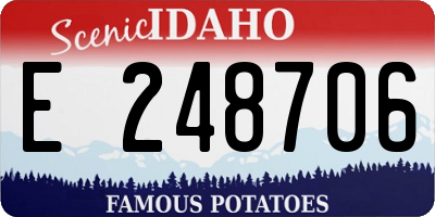 ID license plate E248706