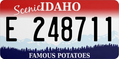 ID license plate E248711