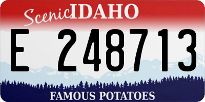 ID license plate E248713