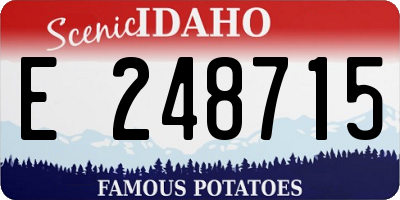 ID license plate E248715