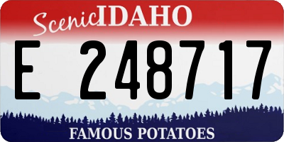 ID license plate E248717