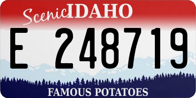 ID license plate E248719
