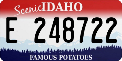 ID license plate E248722
