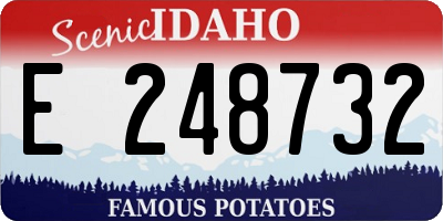 ID license plate E248732