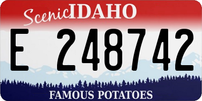 ID license plate E248742