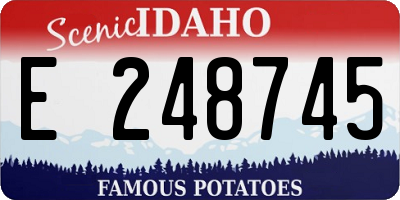 ID license plate E248745