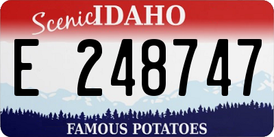 ID license plate E248747