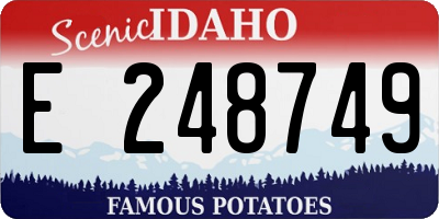 ID license plate E248749