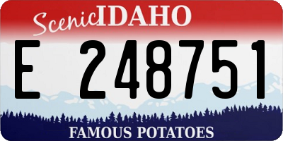 ID license plate E248751