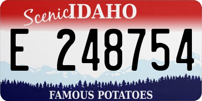 ID license plate E248754