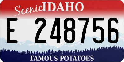 ID license plate E248756
