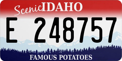 ID license plate E248757