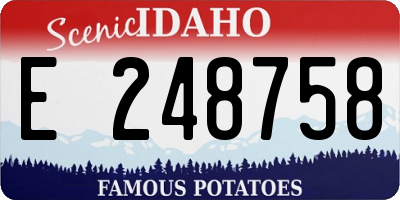 ID license plate E248758