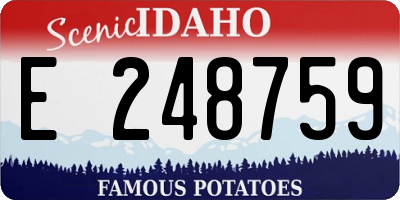 ID license plate E248759