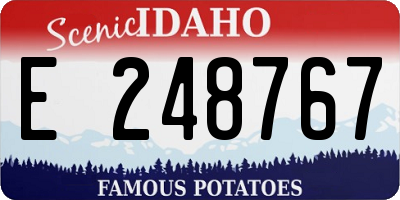 ID license plate E248767