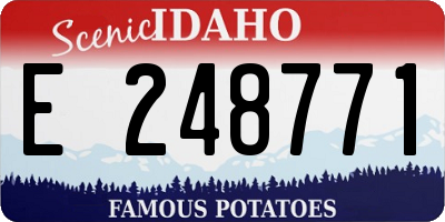ID license plate E248771
