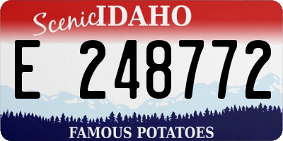 ID license plate E248772