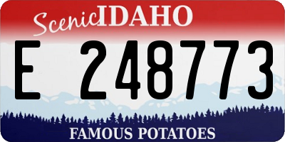 ID license plate E248773