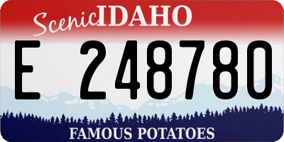 ID license plate E248780