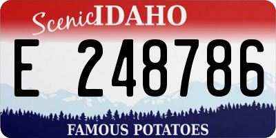 ID license plate E248786