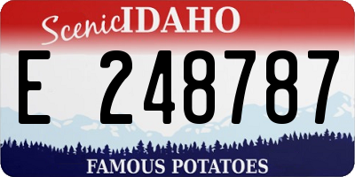 ID license plate E248787