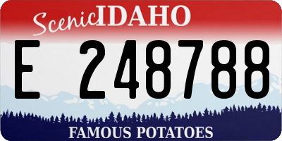 ID license plate E248788