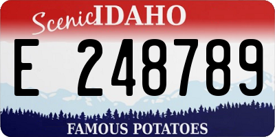 ID license plate E248789