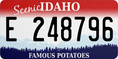 ID license plate E248796