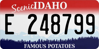 ID license plate E248799