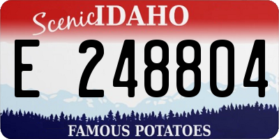 ID license plate E248804