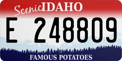ID license plate E248809