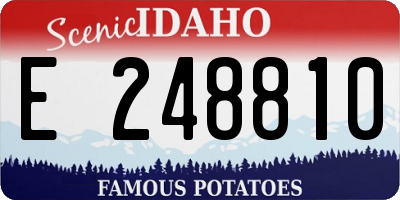 ID license plate E248810