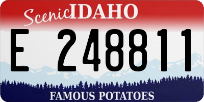 ID license plate E248811