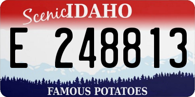 ID license plate E248813