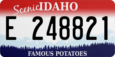 ID license plate E248821