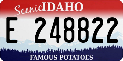 ID license plate E248822