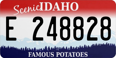 ID license plate E248828