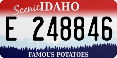 ID license plate E248846