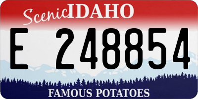 ID license plate E248854