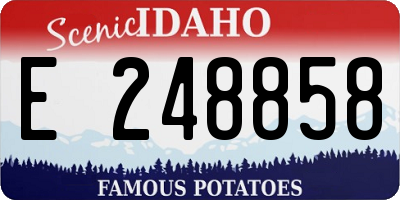 ID license plate E248858