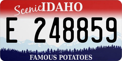 ID license plate E248859