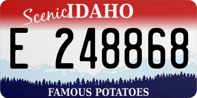 ID license plate E248868
