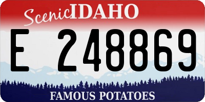 ID license plate E248869