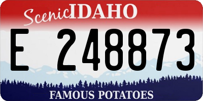 ID license plate E248873