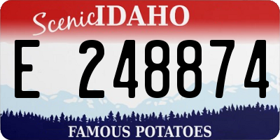 ID license plate E248874
