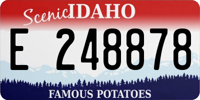 ID license plate E248878